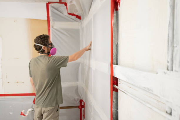 Best Mold Prevention Services  in Downs, IL