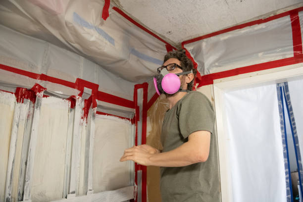 Best HVAC Mold Inspection and Cleaning  in Downs, IL